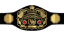 WWF Junior Heavyweight Championship