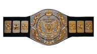 Wwf junior heavyweight championship 79 85