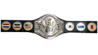 Wwf world martial arts heavyewight championship