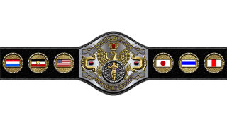 WWF World Martial Arts Heavyweight Championship