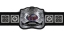 World Tag Team Championship