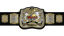 World Tag Team Championship