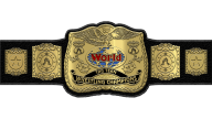 WWF Tag Team Championship