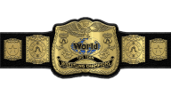 WWF Tag Team Championship