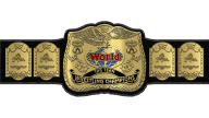 WWF Tag Team Championship