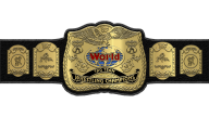 WWF Tag Team Championship