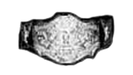 Wwwf international tag team championship