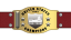 WWWF United States Tag Team Championship