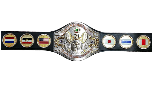 WWF World Martial Arts Heavyweight Championship - Title History