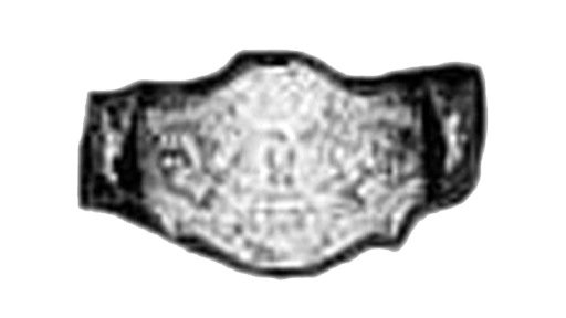 WWF International Tag Team Championship