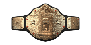WWE SmackDown vs. Raw 2011: Championship Titles List