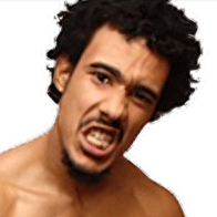 AR Fox