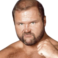 Arn Anderson
