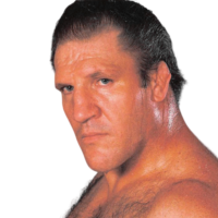 Bruno Sammartino