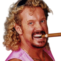 Diamond Dallas Page