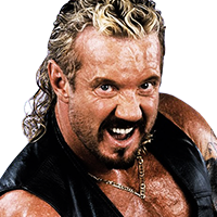 Diamond Dallas Page