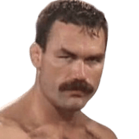 Don Frye Don Frye