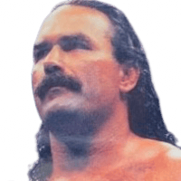 Don Frye Don Frye