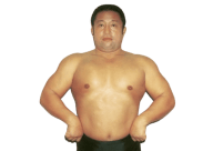 Don Arakawa