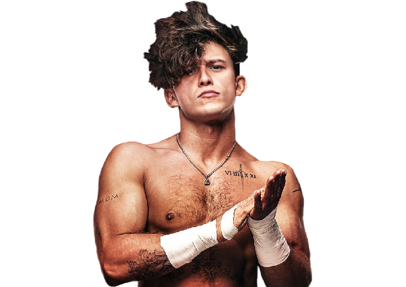 HOOK - Pro Wrestlers Database