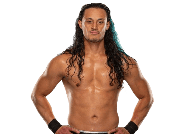 Aaron Solo - Pro Wrestlers Database
