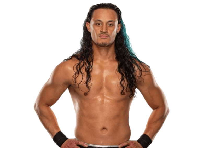 Aaron Solo - Pro Wrestler Profile