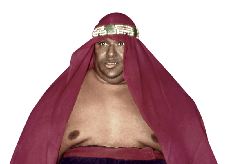 Abdullah the Butcher - Pro Wrestler Profile