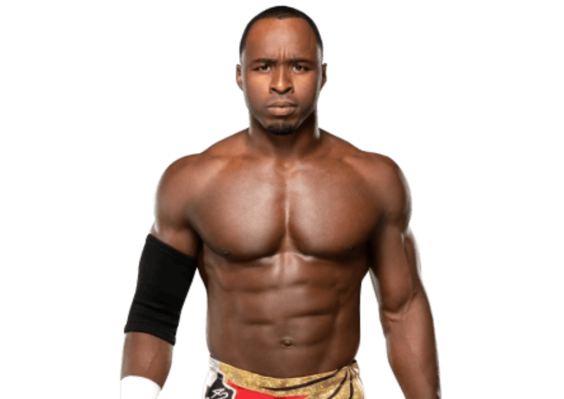 ACH - Pro Wrestler Profile