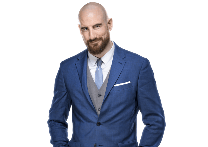 Aiden English / Matthew Rehwoldt - Pro Wrestler Profile