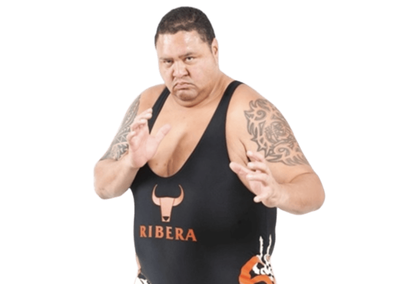 Akebono - Pro Wrestler Profile