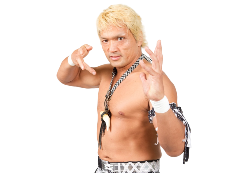Akira Nogami / AKIRA - Pro Wrestler Profile