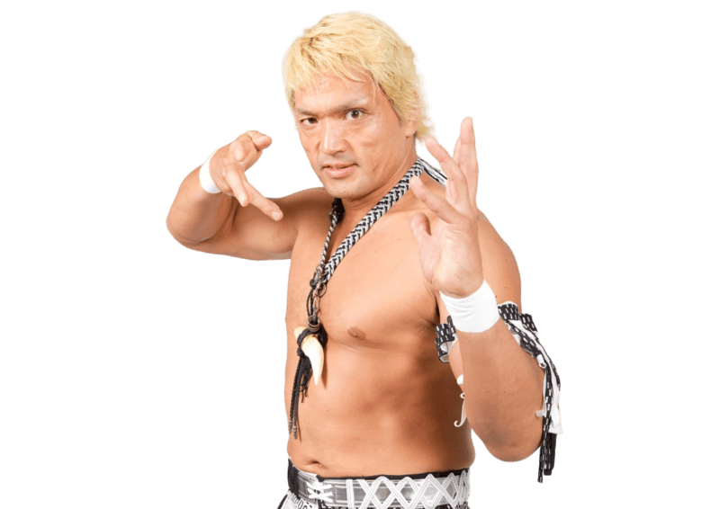 Akira Nogami / AKIRA - Pro Wrestler Profile