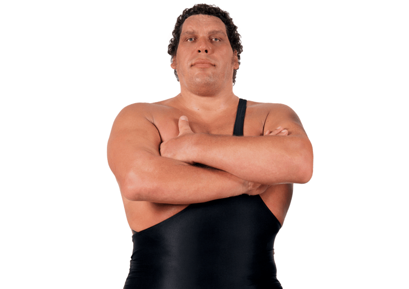 André the Giant - Pro Wrestler Profile