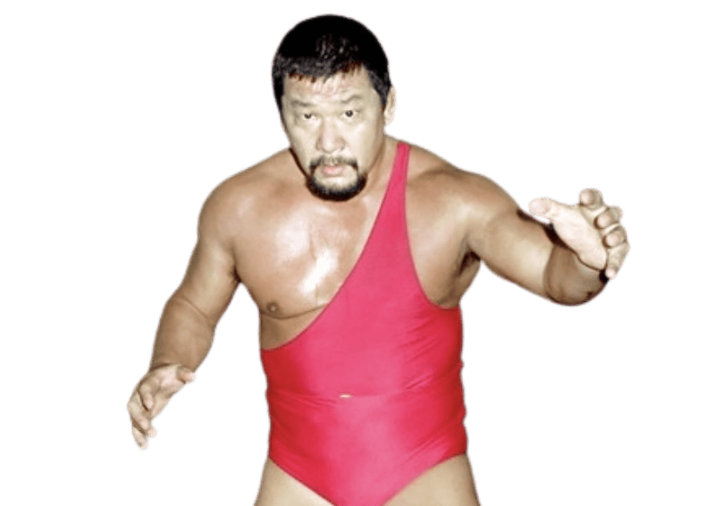 Animal Hamaguchi - Pro Wrestler Profile