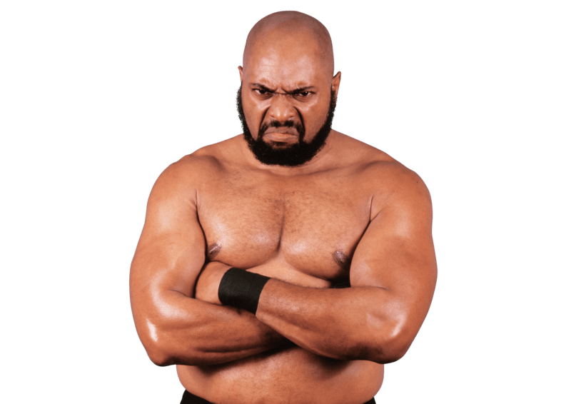 Bad News Brown / Bad News Allen - Pro Wrestler Profile