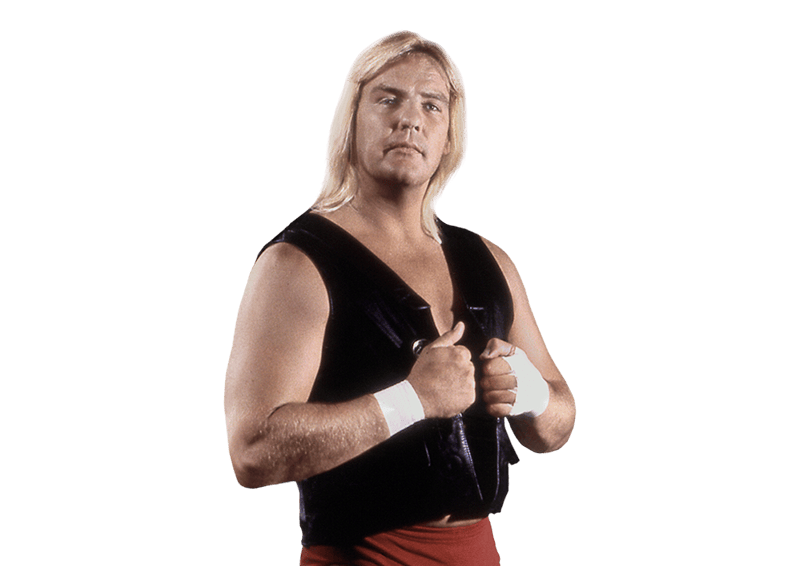 Barry Windham - Pro Wrestler Profile