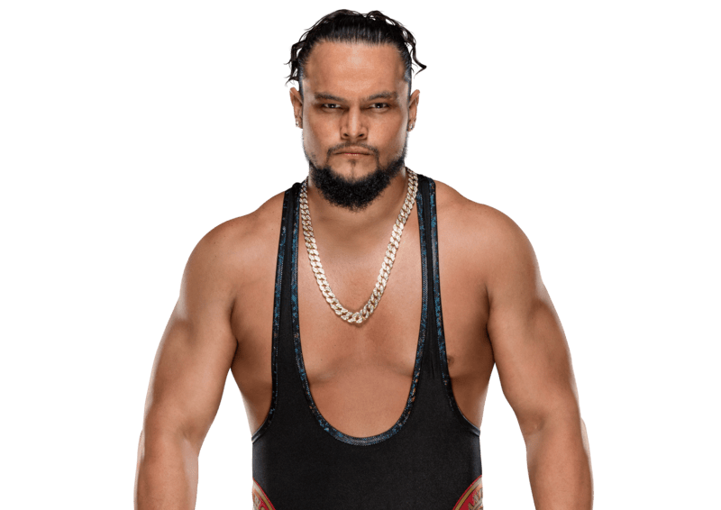 Bo Dallas - Pro Wrestler Profile