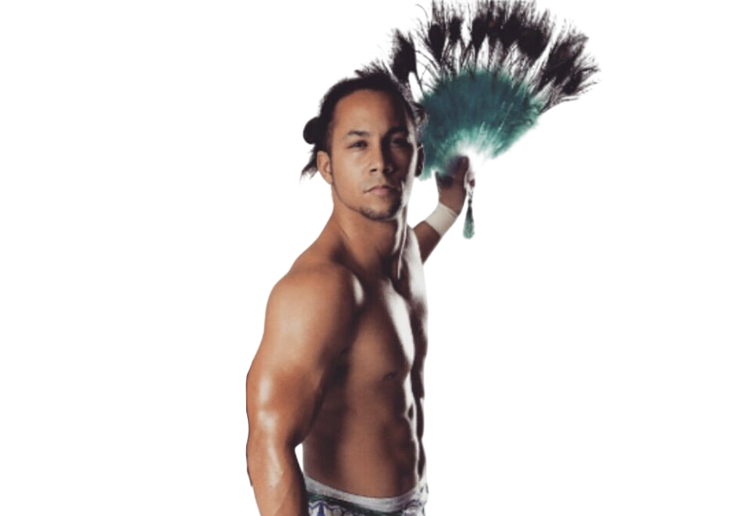 Boy 2 / Brent Tate - Pro Wrestlers Database