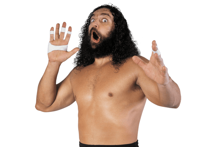 Bruiser Brody - Pro Wrestler Profile