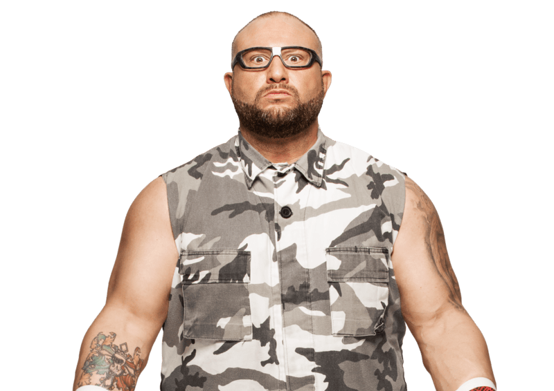 TNA World Heavyweight Champion Bully Ray