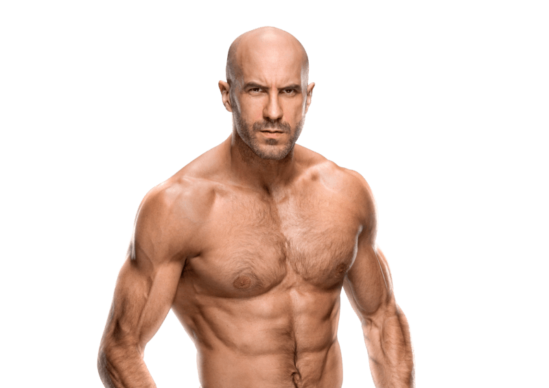 Cesaro / Claudio Castagnoli - Pro Wrestler Profile