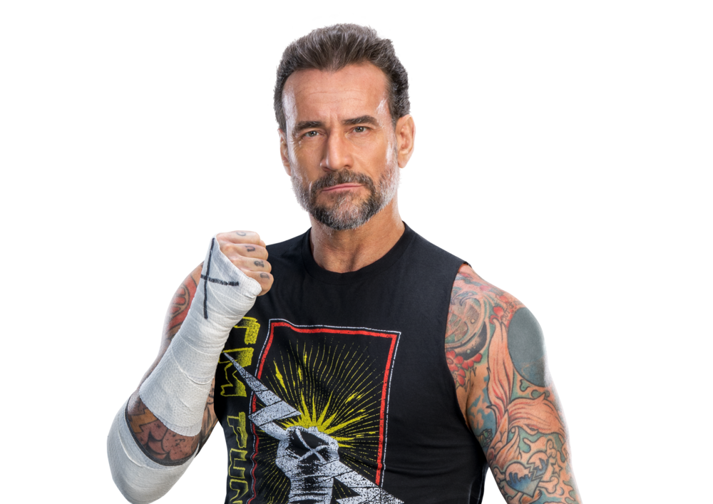 CM Punk - Pro Wrestlers Database