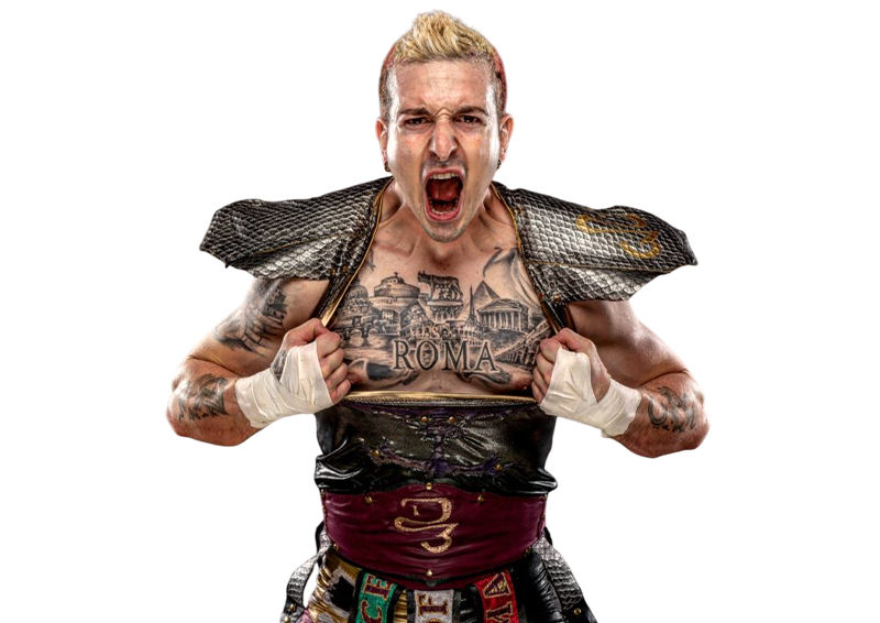 D3 - Pro Wrestlers Database