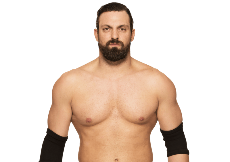 Damien Sandow / Aron Stevens - Pro Wrestler Profile