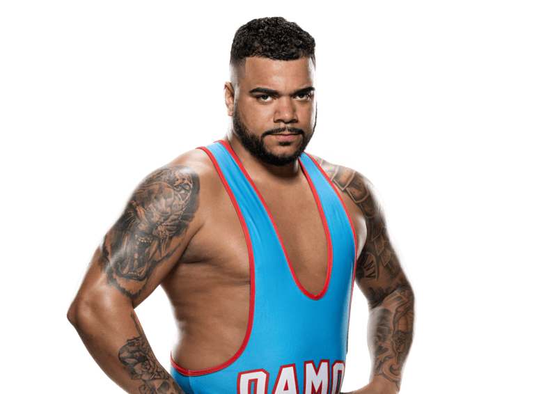 Damon Kemp / Bobby Steveson - Pro Wrestler Profile