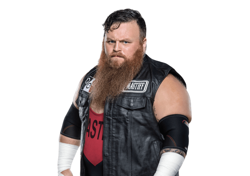 Dave Mastiff - Pro Wrestler Profile