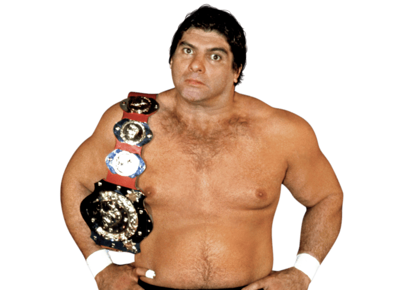 Don Muraco - Pro Wrestler Profile