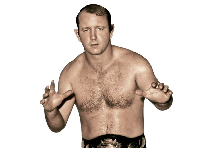 Dory Funk Jr. - Pro Wrestler Profile