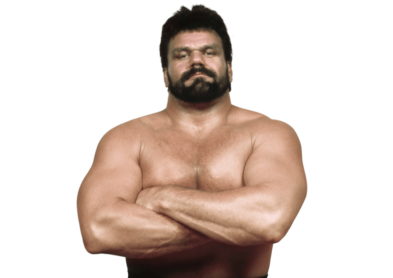 Steve Williams - Pro Wrestler Profile