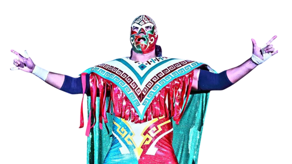 El Hijo del Dr. Wagner Jr. - Pro Wrestlers Database